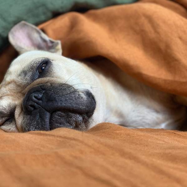 무기력 극복 방법 10가지: 다시 활력 찾는 지금 당장 실천 가능한 전략