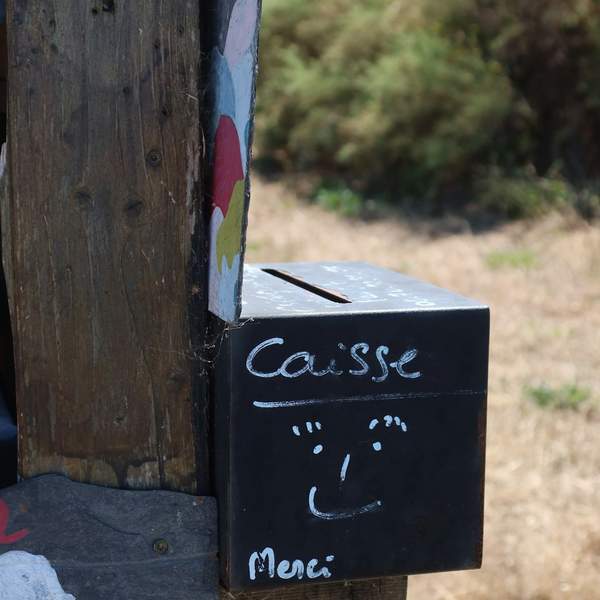 집에서 냄새 없이 깔끔하게! 택배 박스 버리는 법 7가지