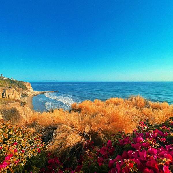 하루 1시간 투자법으로 인생을 바꾸는 7가지 비결 (지금 시작하세요!)